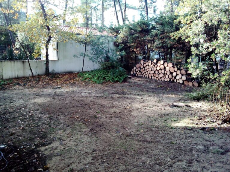 élagage et abattage chez un particulier