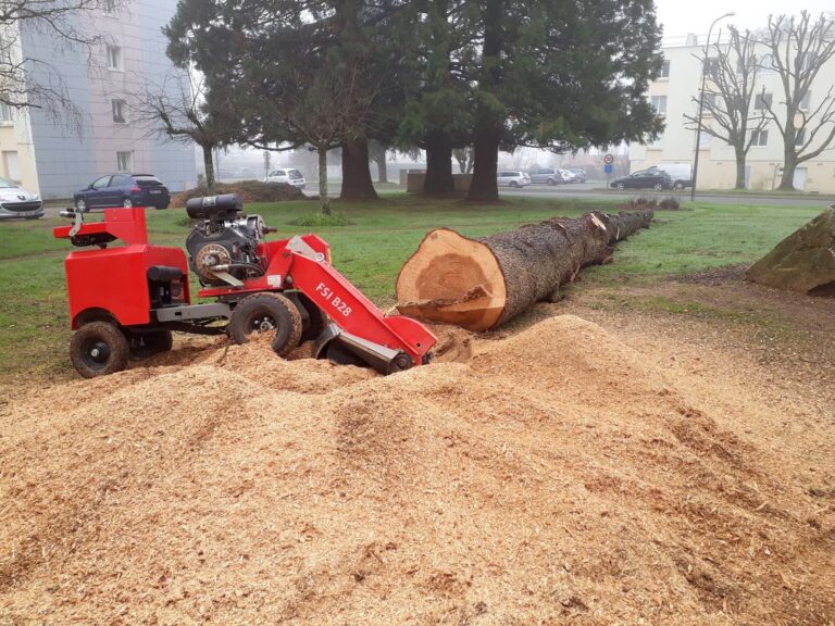 80987696_2444276845835770_1595231002119110656_n