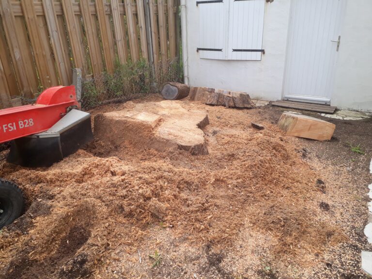 95764345_2542563546007099_982345040200204288_n