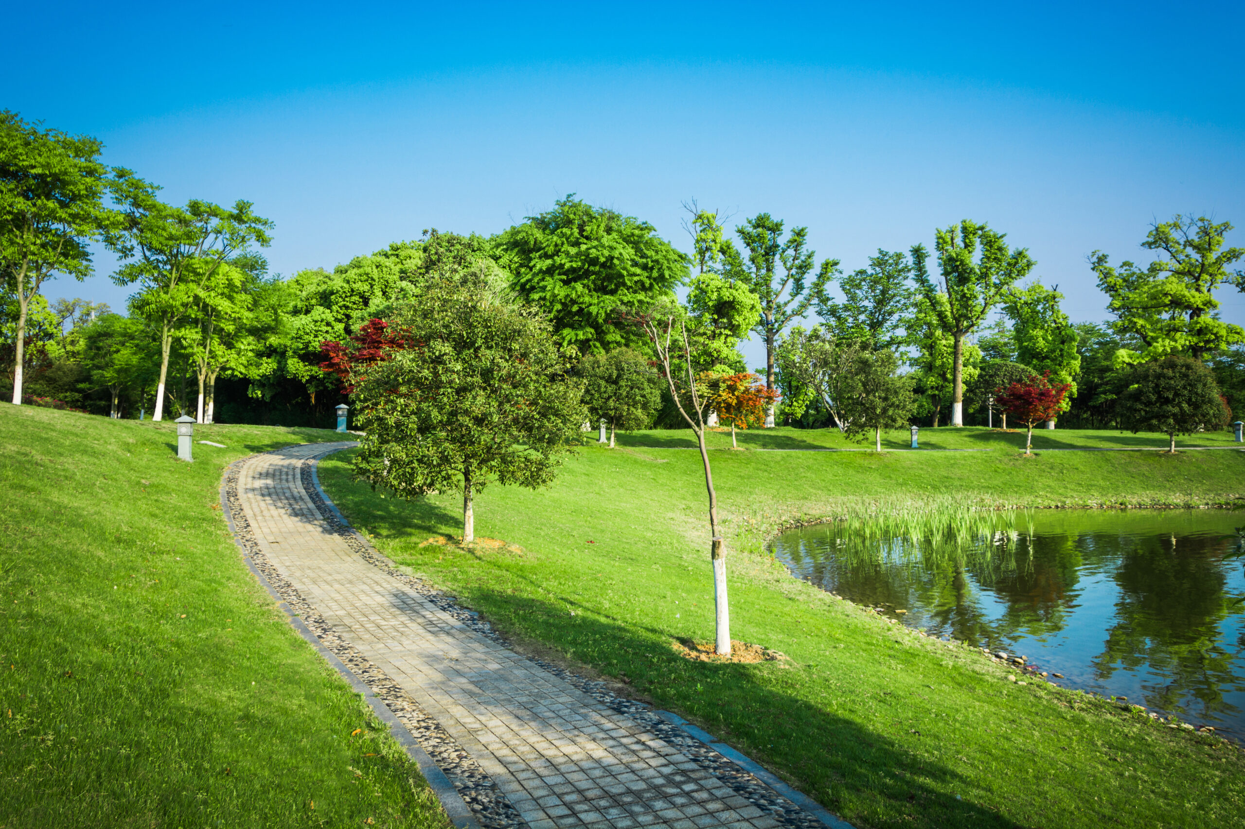 parc municipal entretenu et arbres bien taillés en vendée